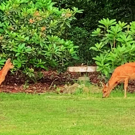 度假居 4 Person In Toftlund-by Traum