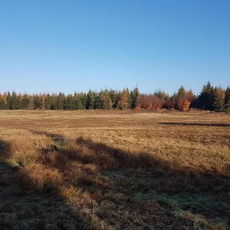 4 Person In Toftlund-by Traum