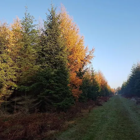 度假居 4 Person In Toftlund-by Traum *