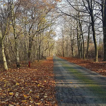 Hébergement de vacances 4 Person In Toftlund-by Traum Toftlund