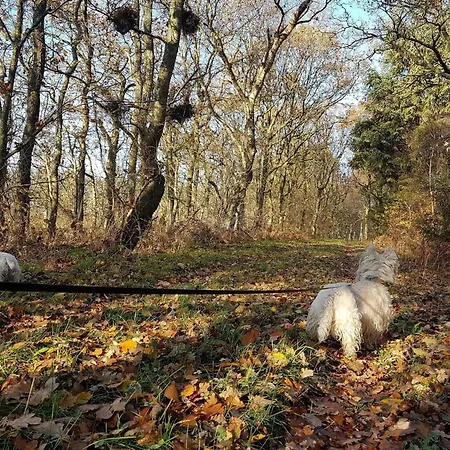 Hébergement de vacances 4 Person In Toftlund-by Traum