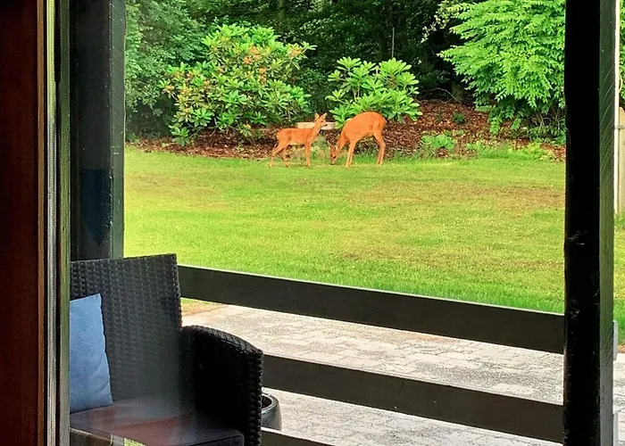 Nyaraló 4 Person In Toftlund-by Traum *