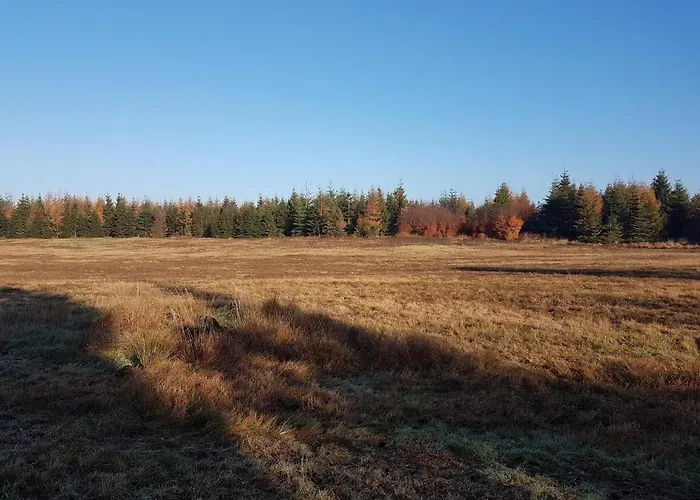 4 Person In Toftlund-by Traum