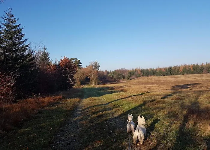 4 Person In Toftlund-by Traum Nyaraló *