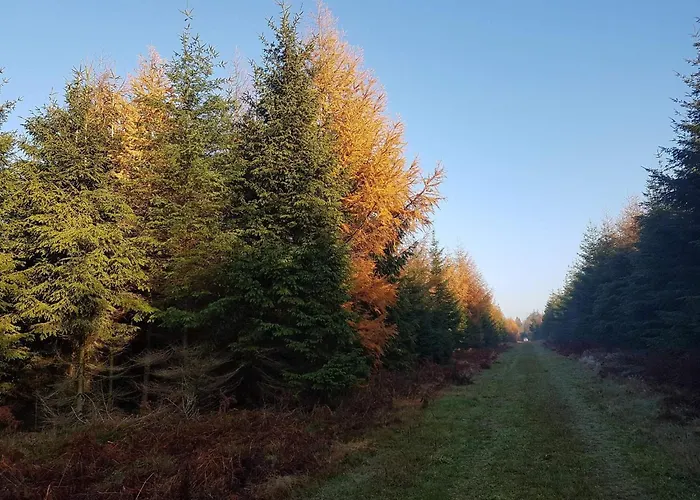 Nyaraló 4 Person In Toftlund-by Traum *