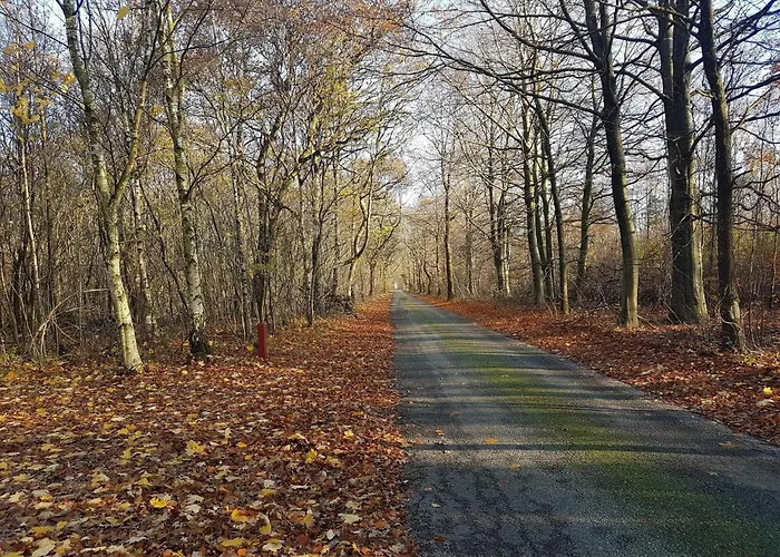 Nyaraló 4 Person In Toftlund-by Traum Toftlund