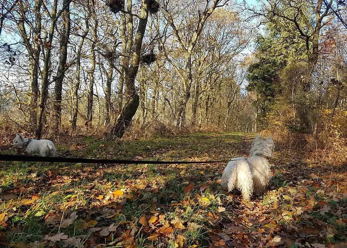 Nyaraló 4 Person In Toftlund-by Traum